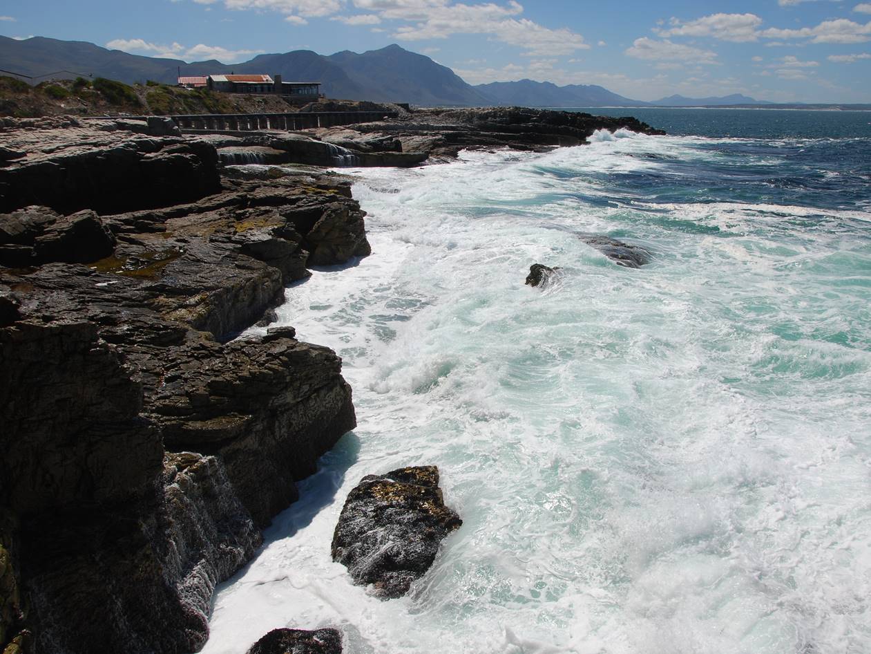 Environmental Impact Assessment for the construction and operation of a wave energy converter (WEC)