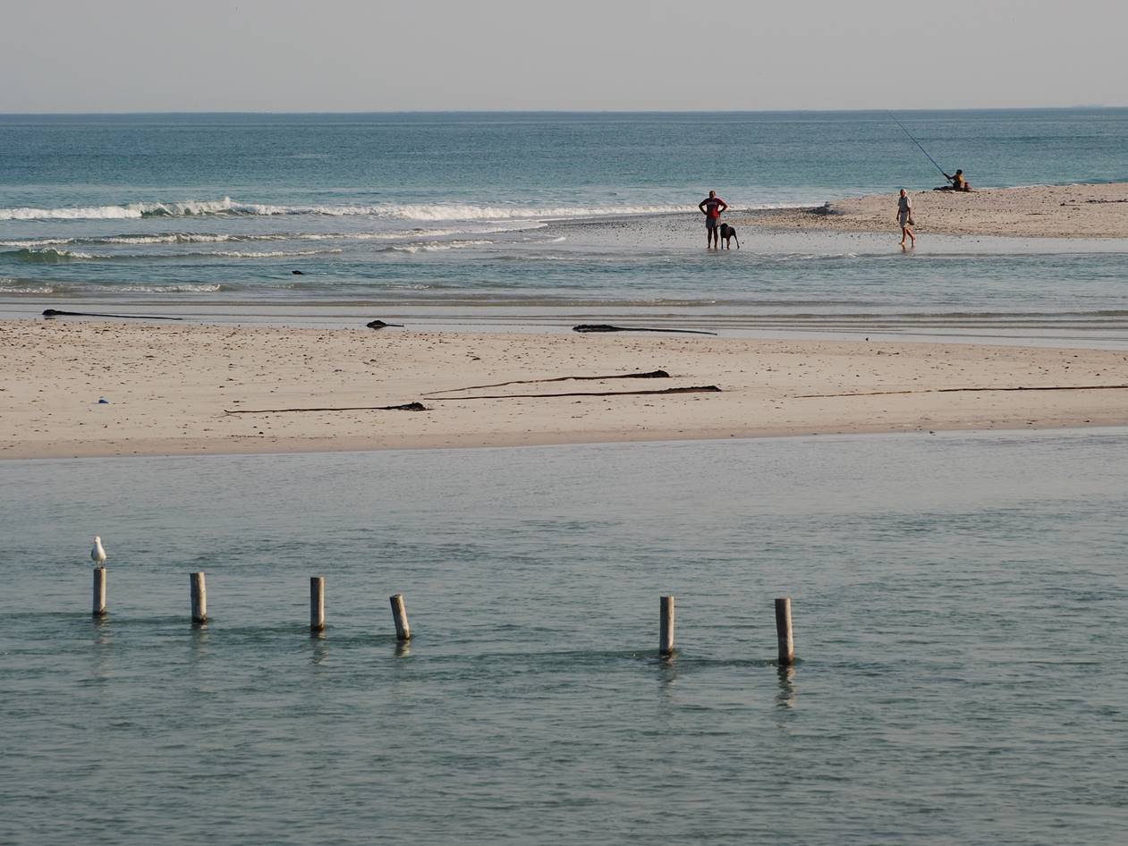 Development of Estuary Management Plans