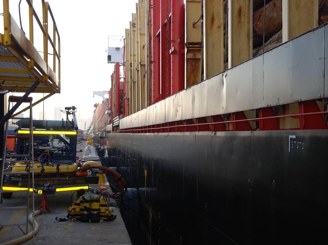 Ballast water, flora and fauna survey in the Ports of Durban and Port Elizabeth.