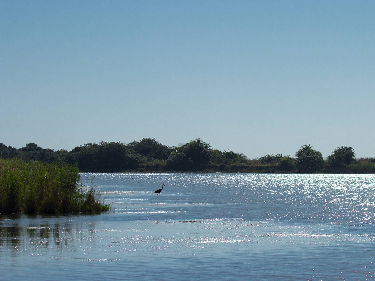 Development of water quality indices and related reporting tools for inland and coastal waters of the City of Cape Town.