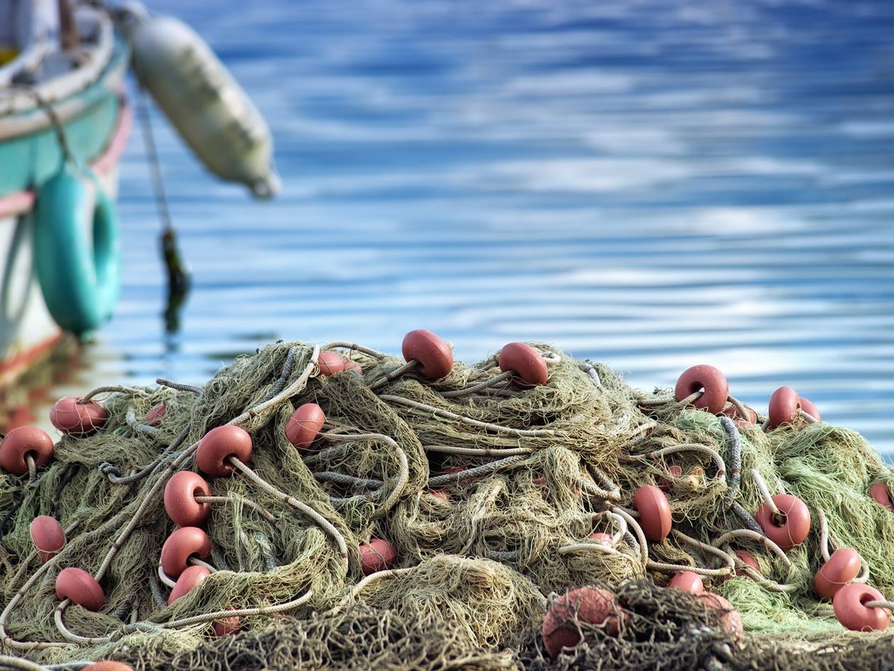 Socio-economic assessment of a reduction in in the sardine minimum TAC