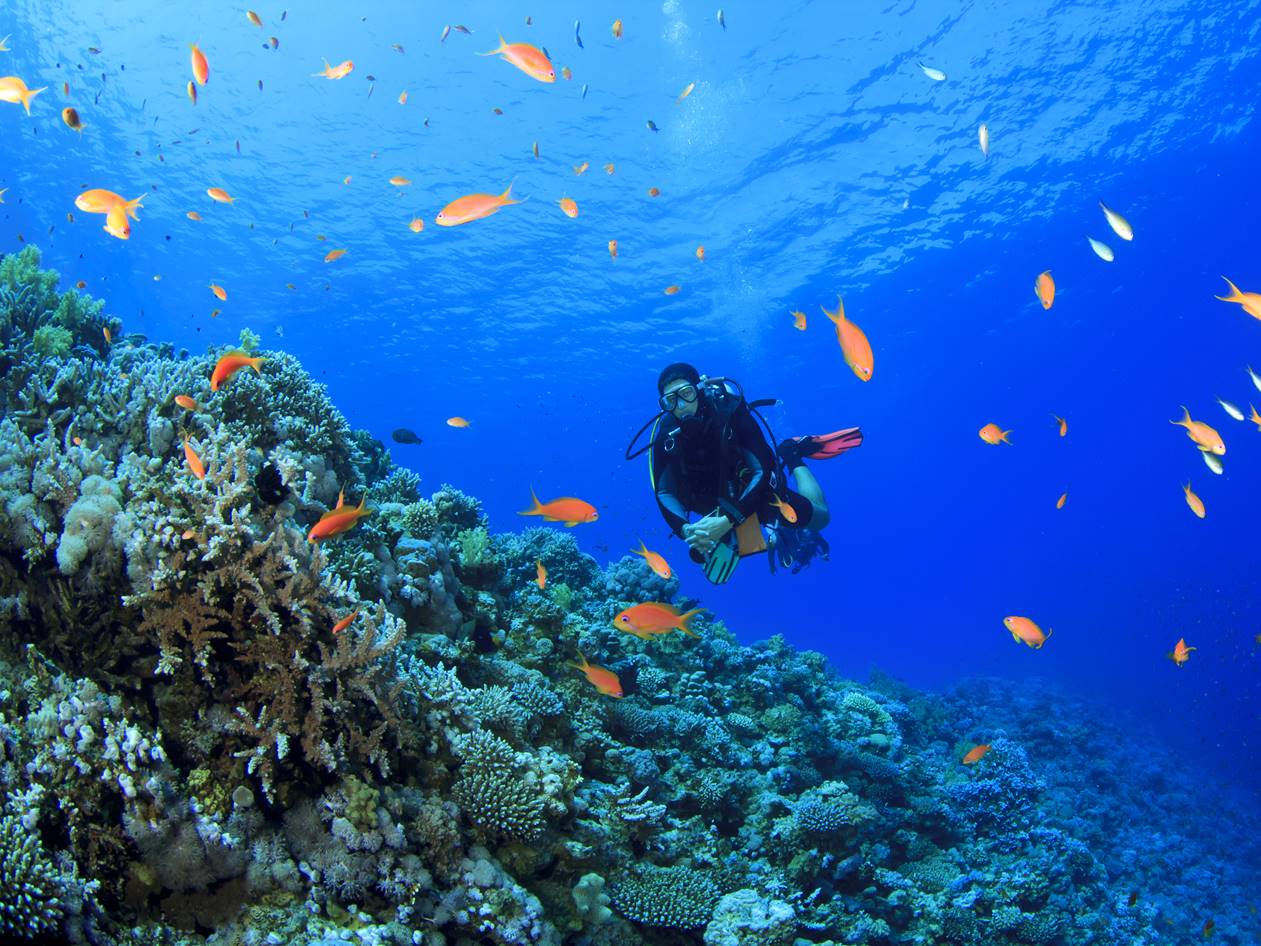 Development of a fine scale conservation plan for the Agulhas Marine Bioregion.