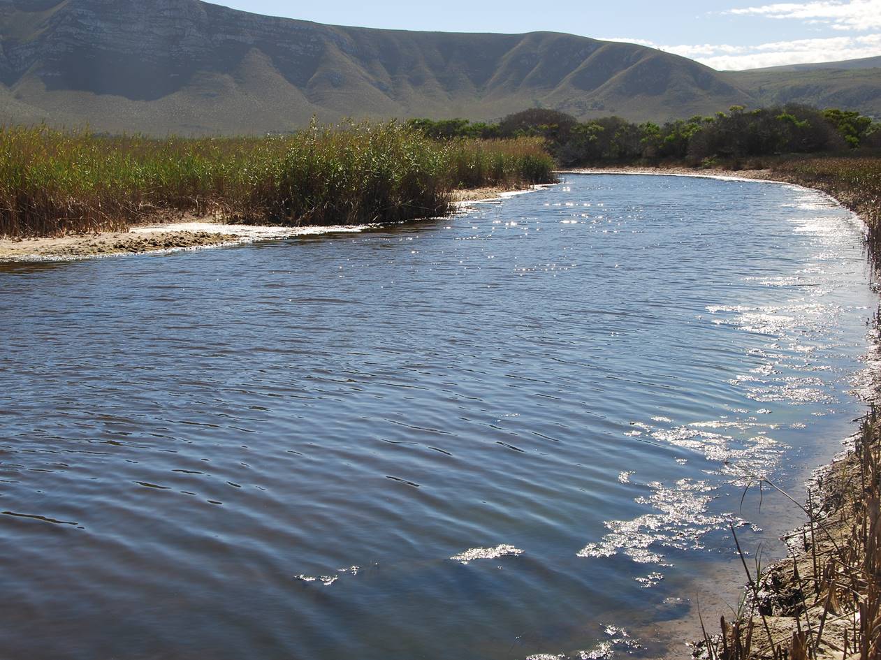 Determination of the ecological water reserve for the Uilkraals estuary