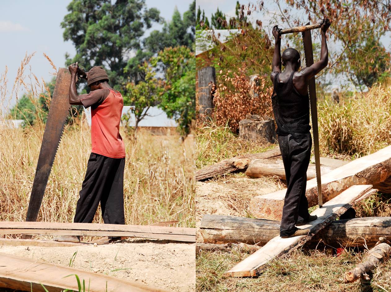 Valuation of forest ecosystem services in Zambia