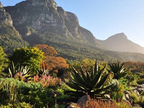 he sixth country report to the Convention on Biological Diversity 