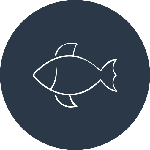 Fish Icon_0