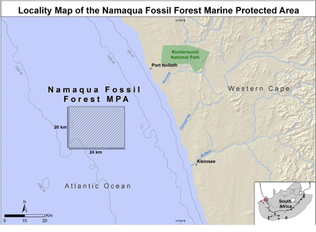 NFF_MAP