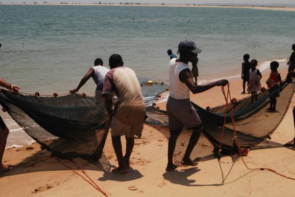 Assessment of the status of biodiversity along the Angola coastline.  