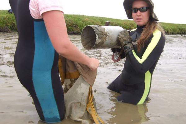Current & biota assessment to inform recommendations for dredge water disposal