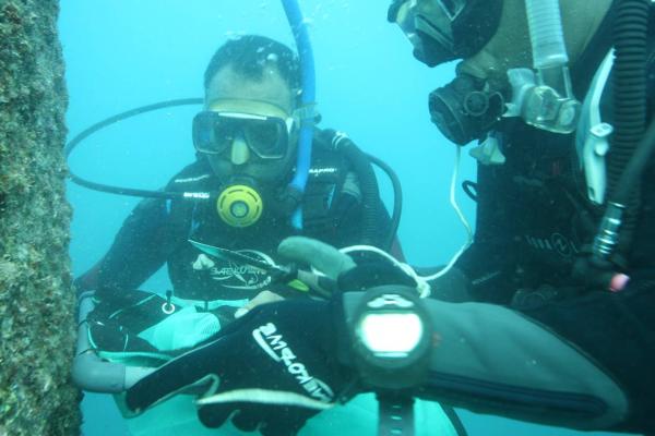 Alien species, and water and sediment quality assessment of Port Louis, Mauritius.