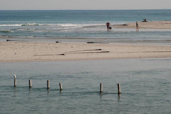 Development of Estuary Management Plans