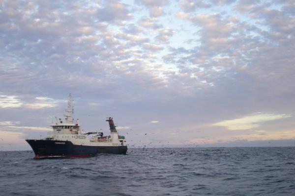 Offshore, boat-based fisheries monitoring programme