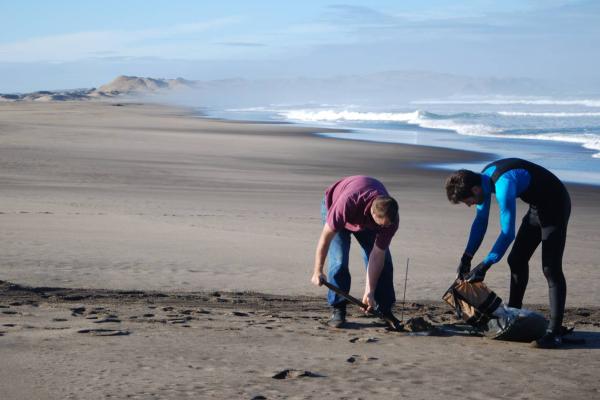 Identification of a Core National Environmental Indicators Network (NCEIS), preparation of an Integrated State of Environment Baseline Report (ISoER) for Namibia’s Protected Area Network (PAN) & Coastal and Marine Ecosystems.
