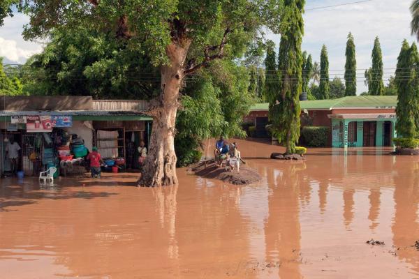 Flows for people and the environment: supporting sustainable land management in the Pangani Basin.