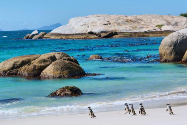 Revision and update of the South African Water Quality Guidelines for Coastal and Marine Waters  2017: Natural Environment, Mariculture and Industrial Use