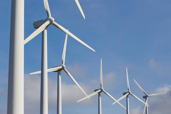  Pre-construction monitoring of avifauna at two proposed wind energy sites in the Karoo, South Africa.