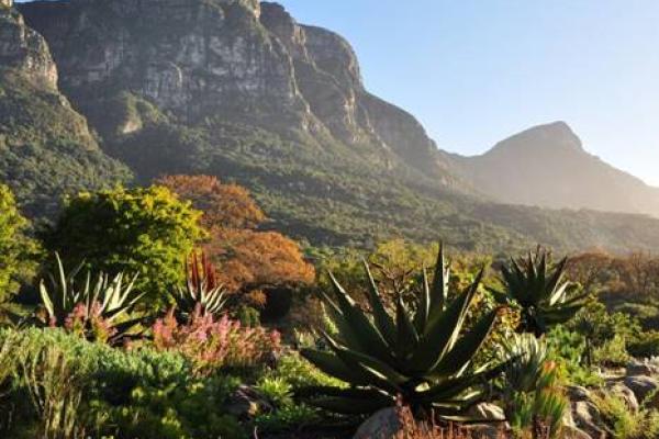 he sixth country report to the Convention on Biological Diversity 