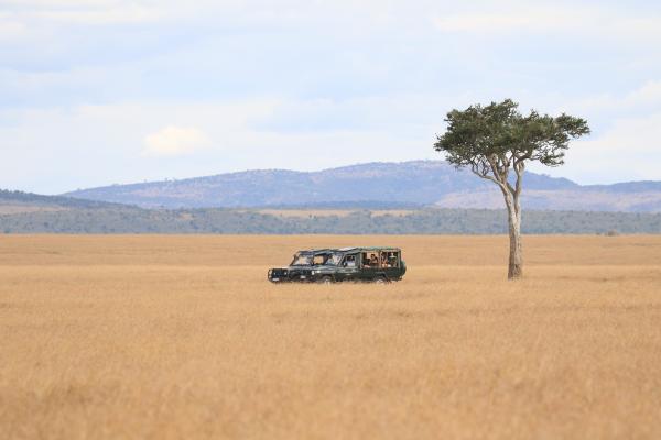 Tourism in the Maasai Mara