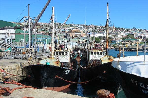 Inshore trawl vessels moored in Mossel Bay, Western Cape
