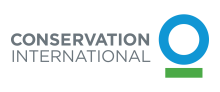 CI logo