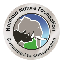 NNF logo