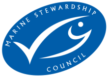 msc-logo